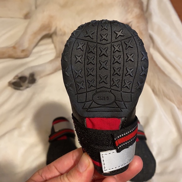 Doggie shoes- size 5 with rubber soles - Picture 9 of 15